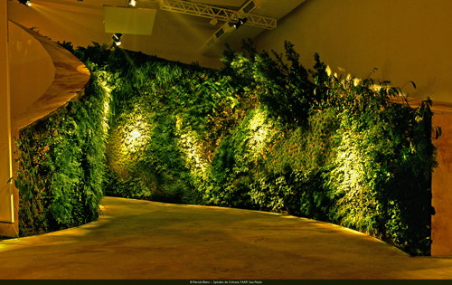 patrickblanc-faap-exhibition-cretaceous-spirals-sao-paulo
